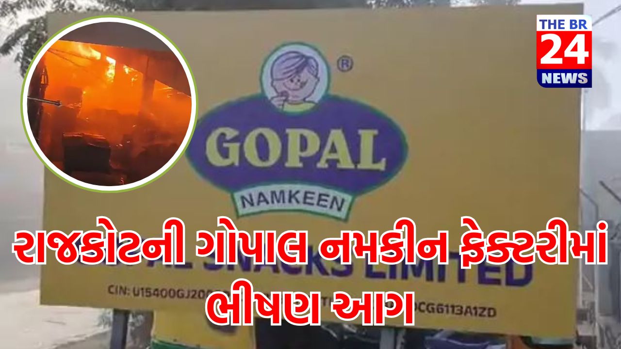 રાજકોટની ગોપાલ નમકીન ફેક્ટરીમાં ભીષણ આગ